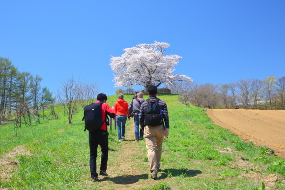 2019 東北撮影遠征-岩手・小岩井-_c0201929_12210885.jpg