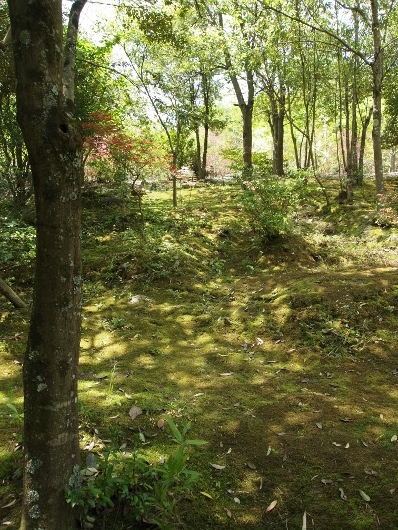 f0013029_08212625.jpg