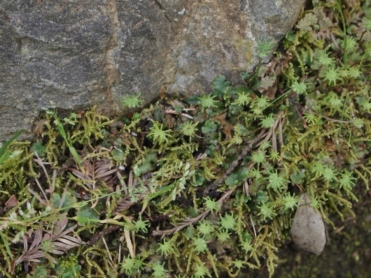 f0013029_08220114.jpg