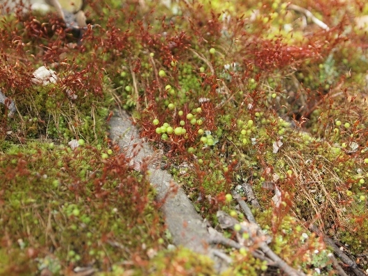 f0013029_08220748.jpg