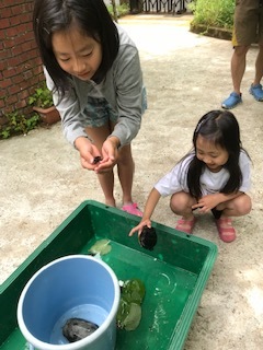 f0177529_21420873.jpeg