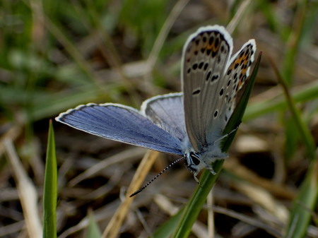 c0353632_21580164.jpg