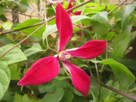 c0025140_20084373.jpg