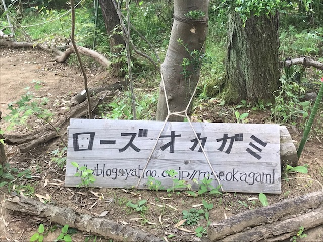 c0343447_22471943.jpg