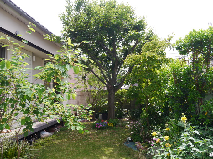 d0267149_17112895.jpg