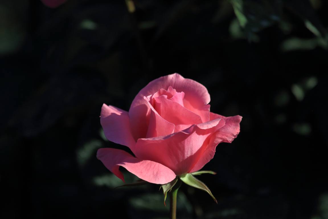 e0403850_10594445.jpg