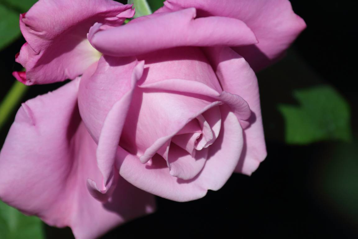 e0403850_11001496.jpg