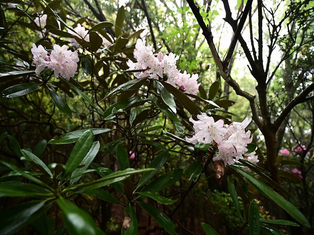 b0370155_16003298.jpg