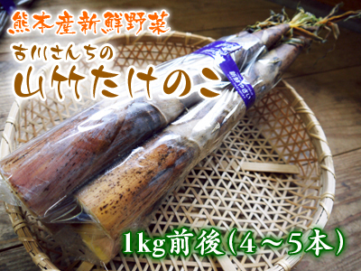お待たせしました!大人気!たけのこの王様『山竹たけのこ』 令和元年の販売スタート‼_a0254656_16144311.jpg
