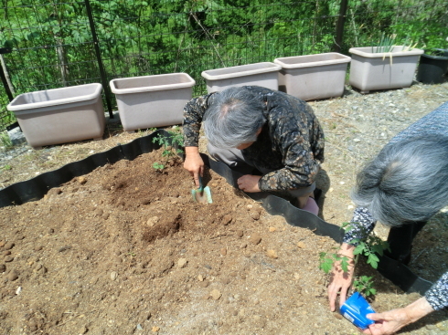 念願の!_d0178056_16554588.jpg