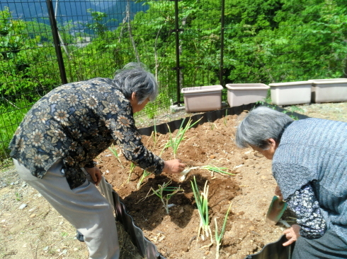 念願の!_d0178056_16555713.jpg