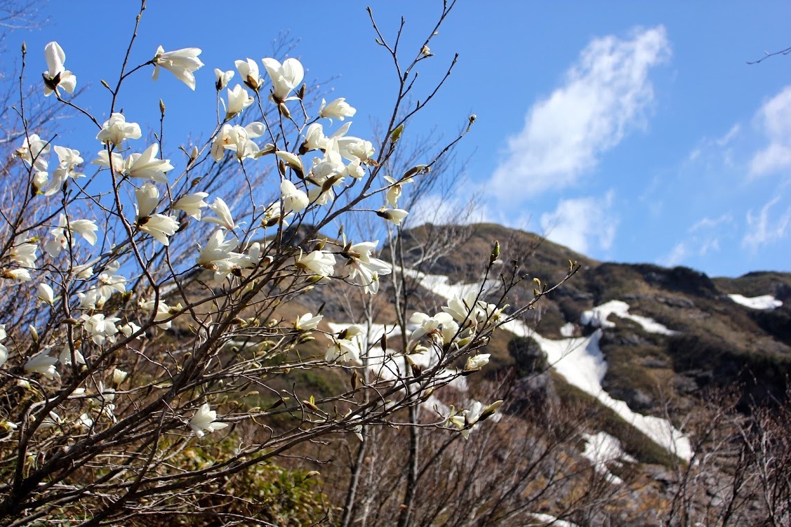 a0248459_12303128.jpg