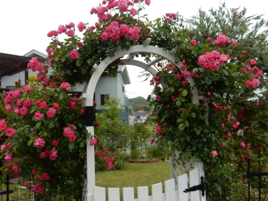 ’19,5,19(日)YOSHIKIって素晴らしい!_f0060461_06495656.jpg