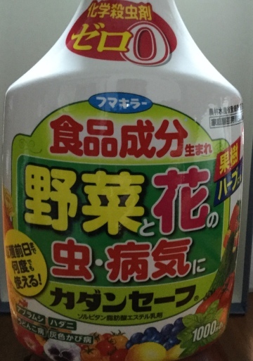 a0053063_21444436.jpeg