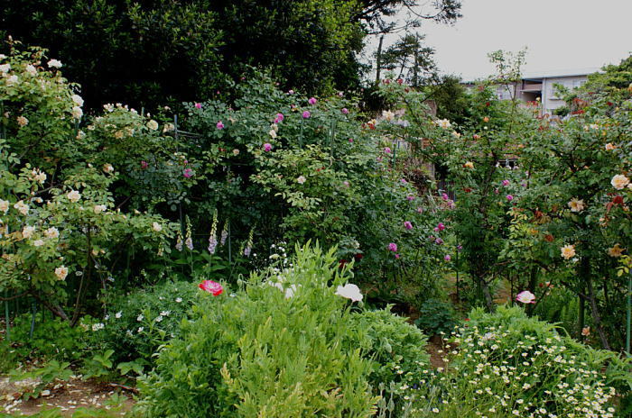 c0194163_21420686.jpg