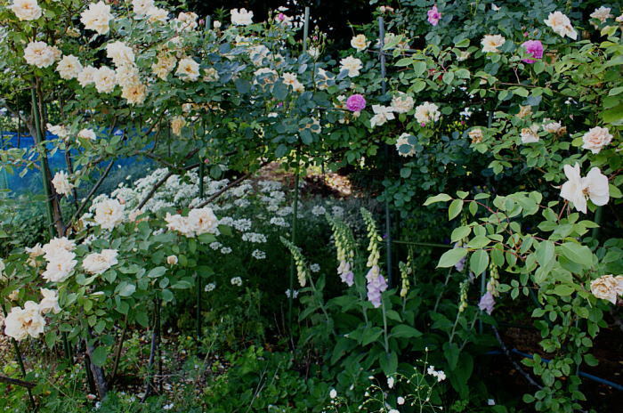 c0194163_21422218.jpg