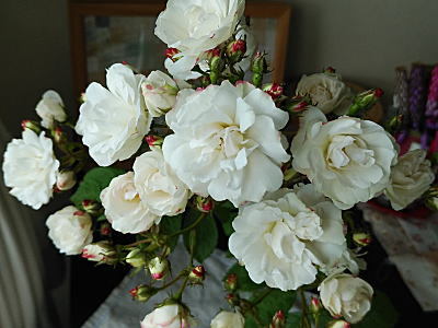 c0194163_21525259.jpg