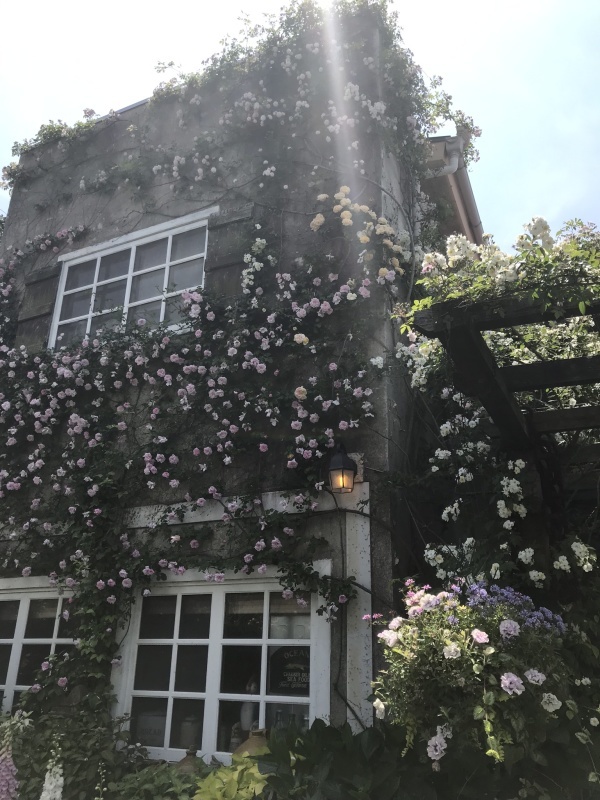 d0320463_05194849.jpeg