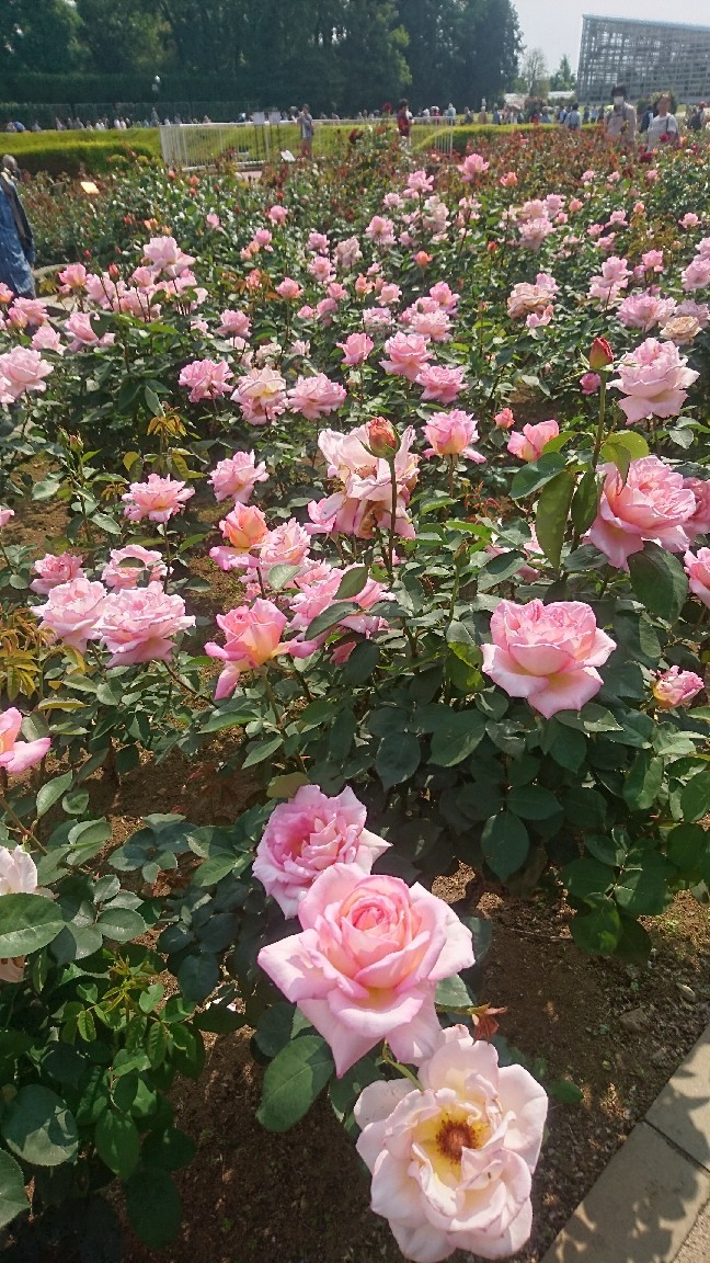 f0222164_07035690.jpg