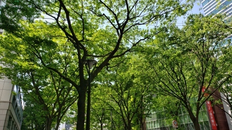 杜の都_a0168274_17383656.jpeg