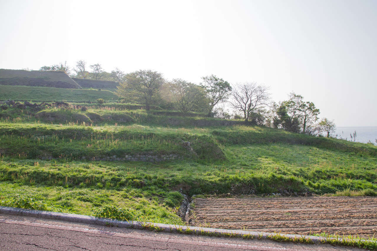 a0052080_23085700.jpg