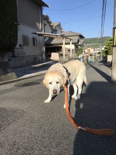 f0315081_22451410.jpeg