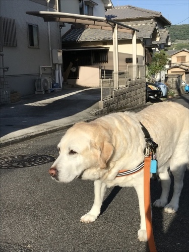 f0315081_22453569.jpeg