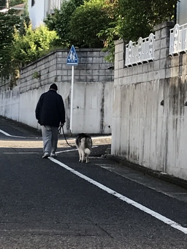 f0315081_22493069.jpeg