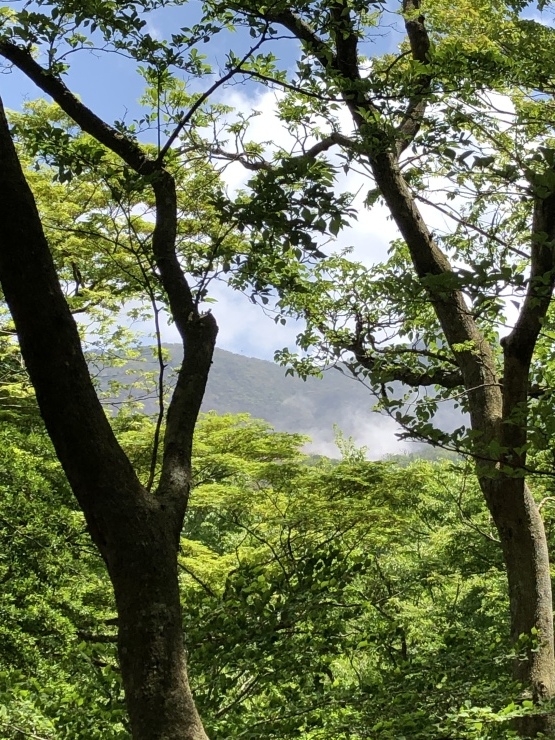 2019年5月19日 朝から箱根話題_b0098584_16572356.jpeg