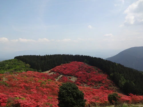 d0159384_14120120.jpg