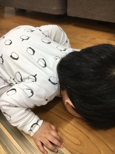 f0347891_22131790.jpeg