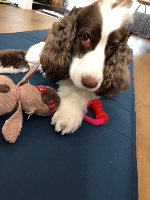 Slow Life   ／　のんびり！のんびりと　_b0195093_09564540.jpg