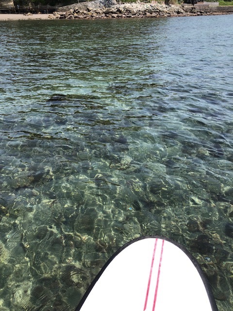 Slow Life   ／　のんびり！のんびりと　_b0195093_09581909.jpg