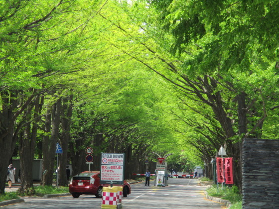 今年もやります！Teton Bros. 2019秋冬商品早期受注会！