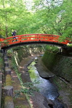 c0339296_11181825.jpg