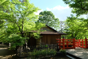 c0339296_11220651.jpg