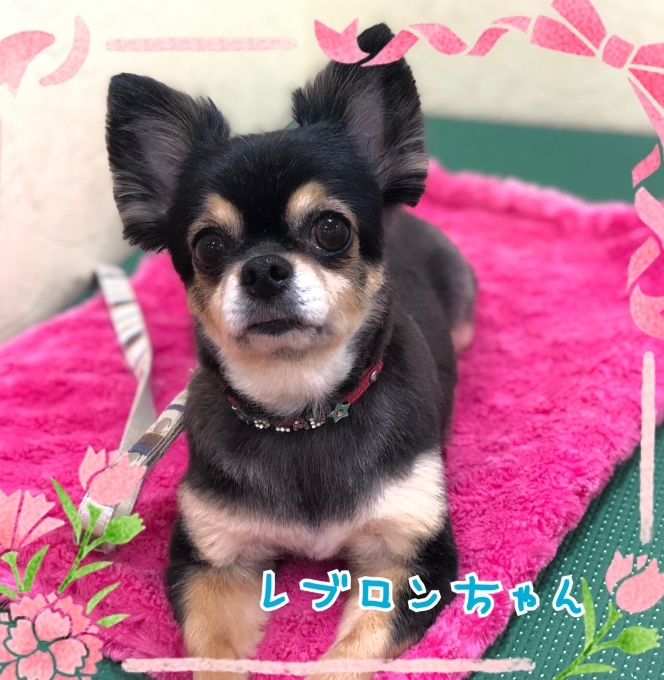 d0269898_15133177.jpeg