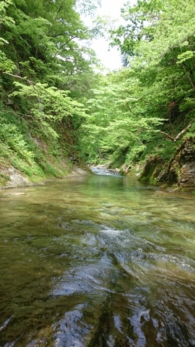 b0172805_06290337.jpg