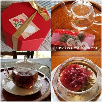 母の日_c0051105_23230796.jpg
