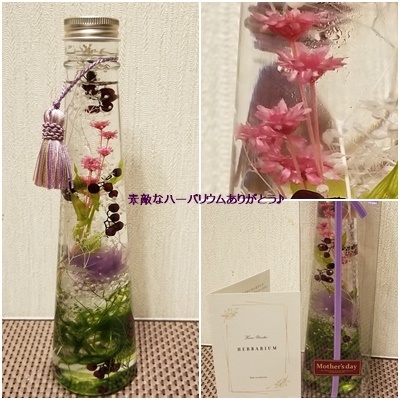 母の日_c0051105_23252686.jpg