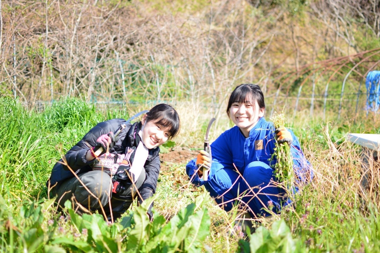 a0080406_12314603.jpg
