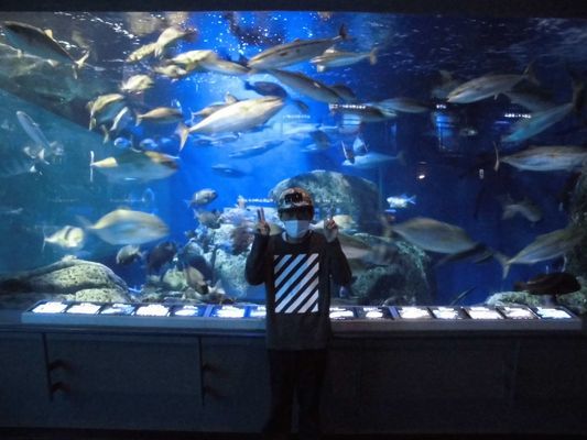5/17 鳥羽水族館_a0154110_15235213.jpg