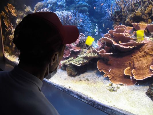 5/17 鳥羽水族館_a0154110_15235440.jpg