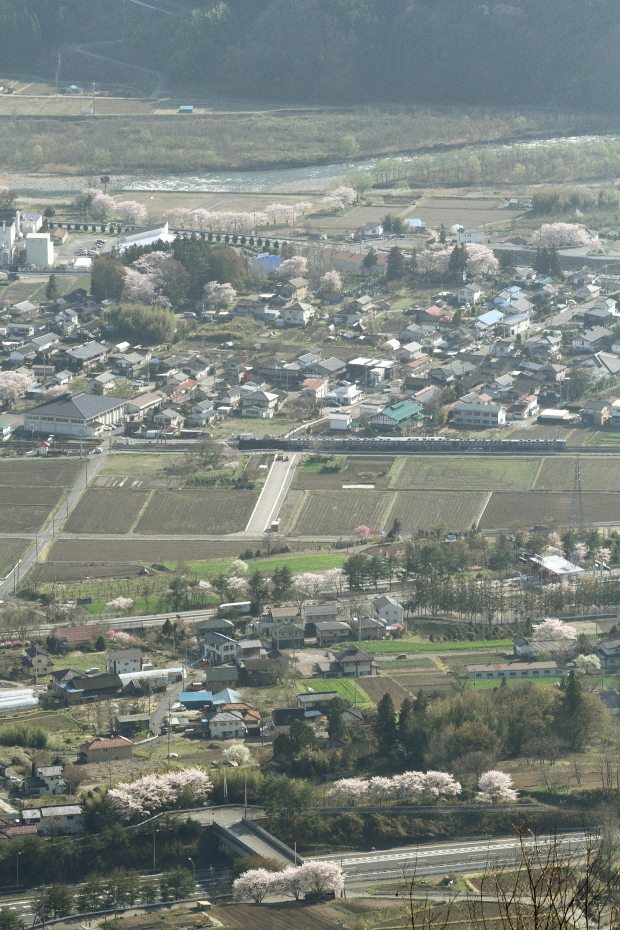 利根川上流の桜 - 2019年桜・上越線 -_b0190710_21544761.jpg