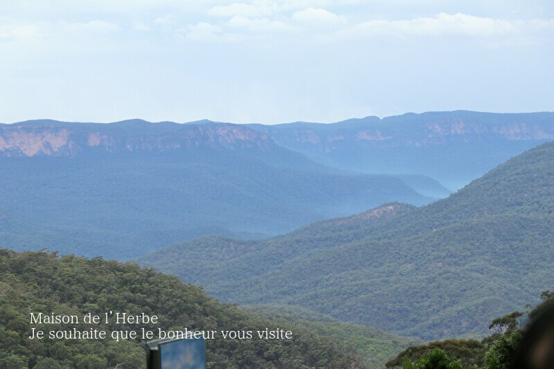 f0301515_22010720.jpg