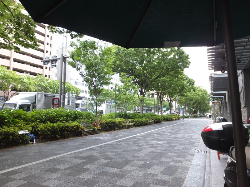 d0358618_23143424.jpg