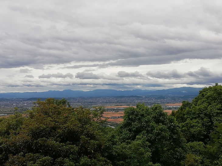 f0193521_545473.jpg