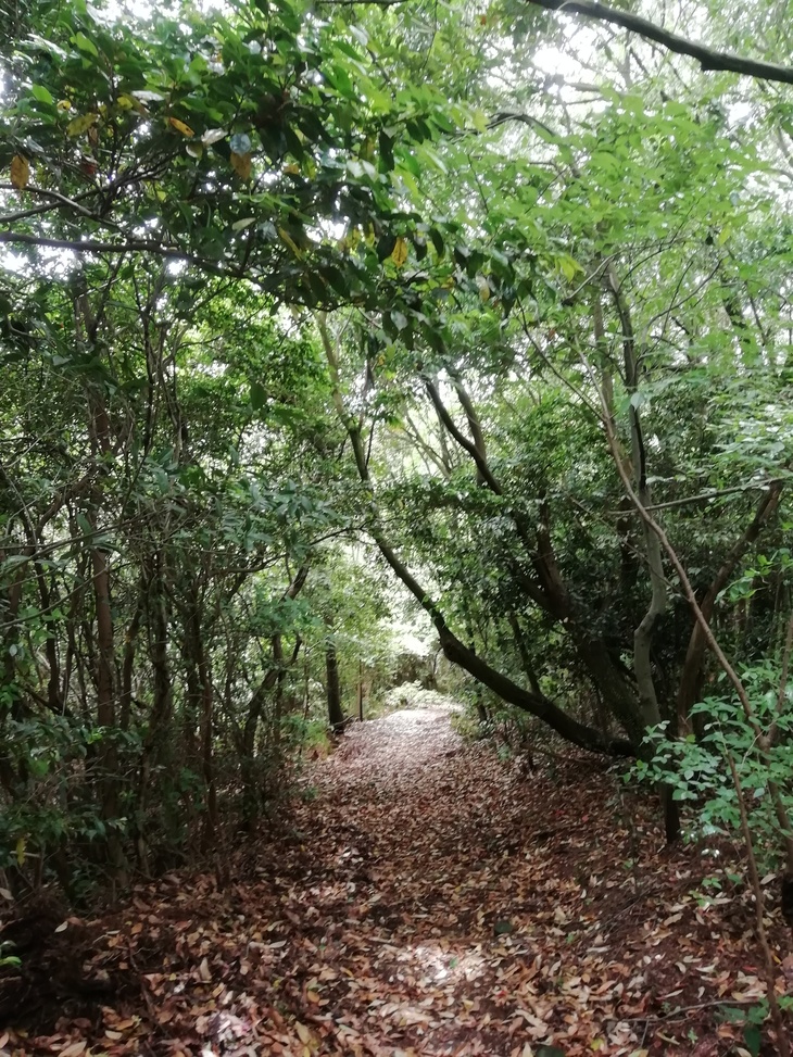 f0193521_585898.jpg
