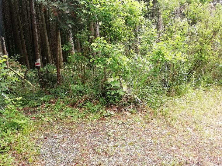 f0193521_593340.jpg