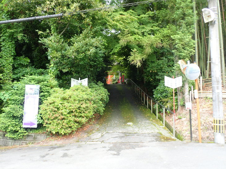 f0193521_6097.jpg